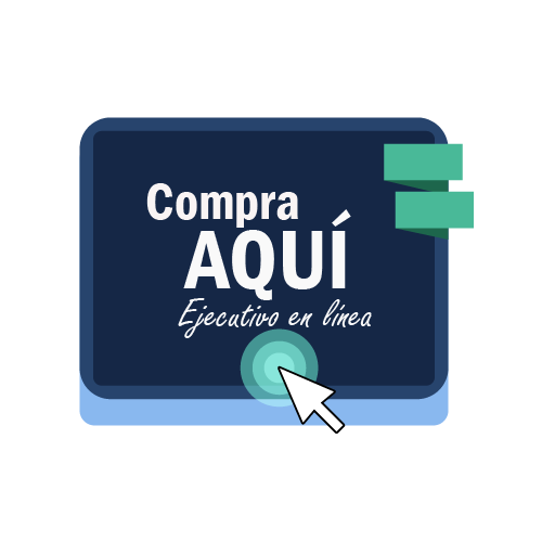ejecutivo homelife